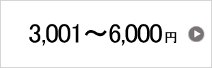 3001円以上6000円未満