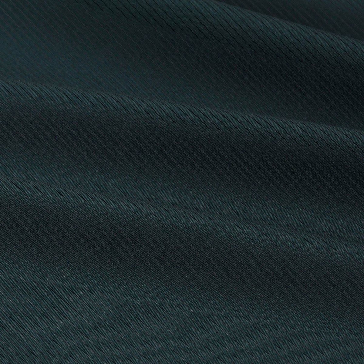 色紋付 東レシルック 薄物 駒絽